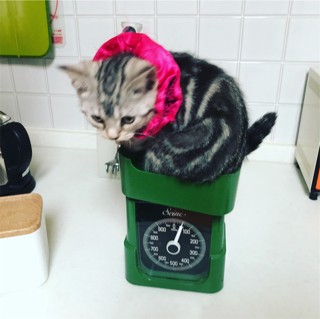 f:id:tsukky8832534:20171006193844j:image f:id:tsukky8832534:20171006193844j:image