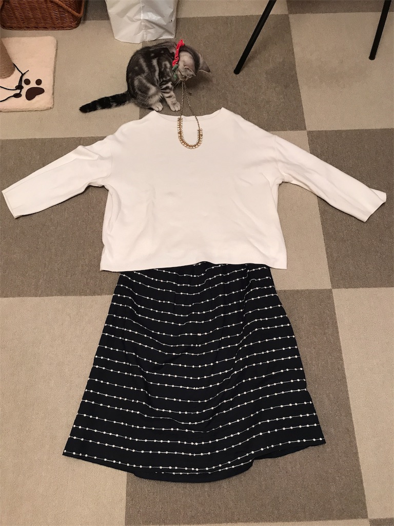 f:id:tsukky8832534:20171012194132j:image f:id:tsukky8832534:20171012194132j:image