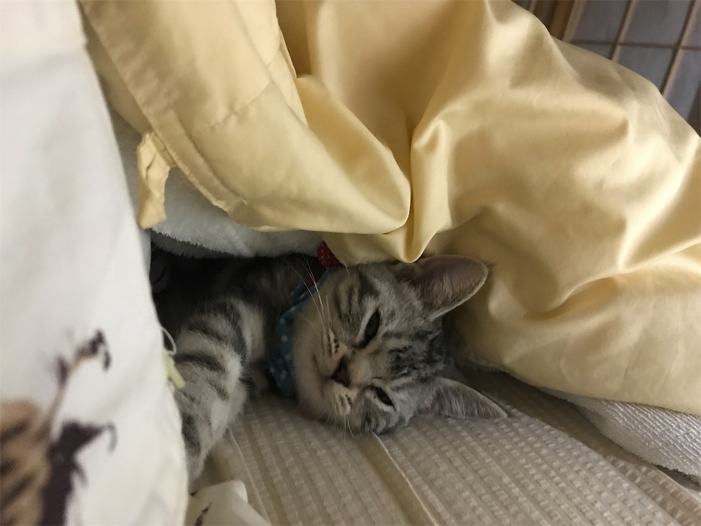 f:id:tsukky8832534:20171022225323j:image