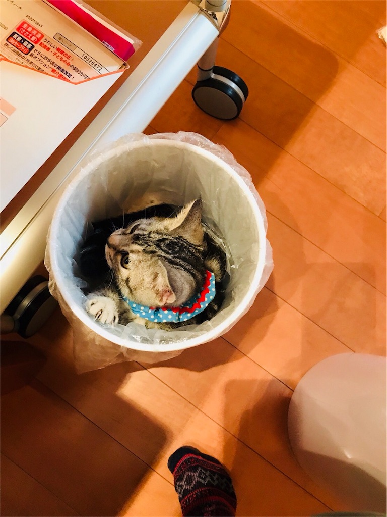 f:id:tsukky8832534:20171022230419j:image