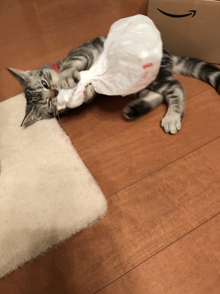 f:id:tsukky8832534:20171026005440j:plain f:id:tsukky8832534:20171026005440j:plain