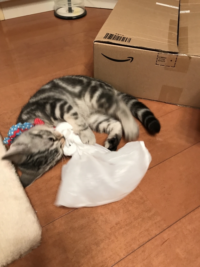 f:id:tsukky8832534:20171026005503j:plain f:id:tsukky8832534:20171026005503j:plain