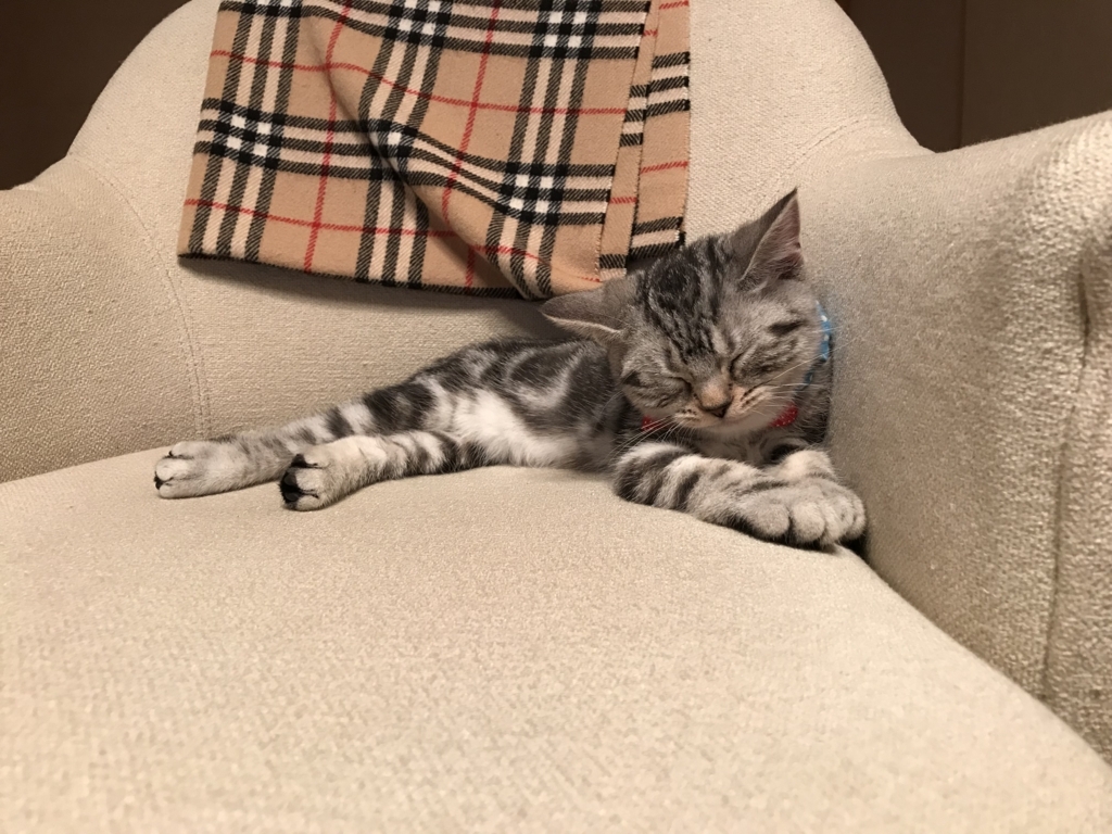 f:id:tsukky8832534:20171026005543j:plain f:id:tsukky8832534:20171026005543j:plain