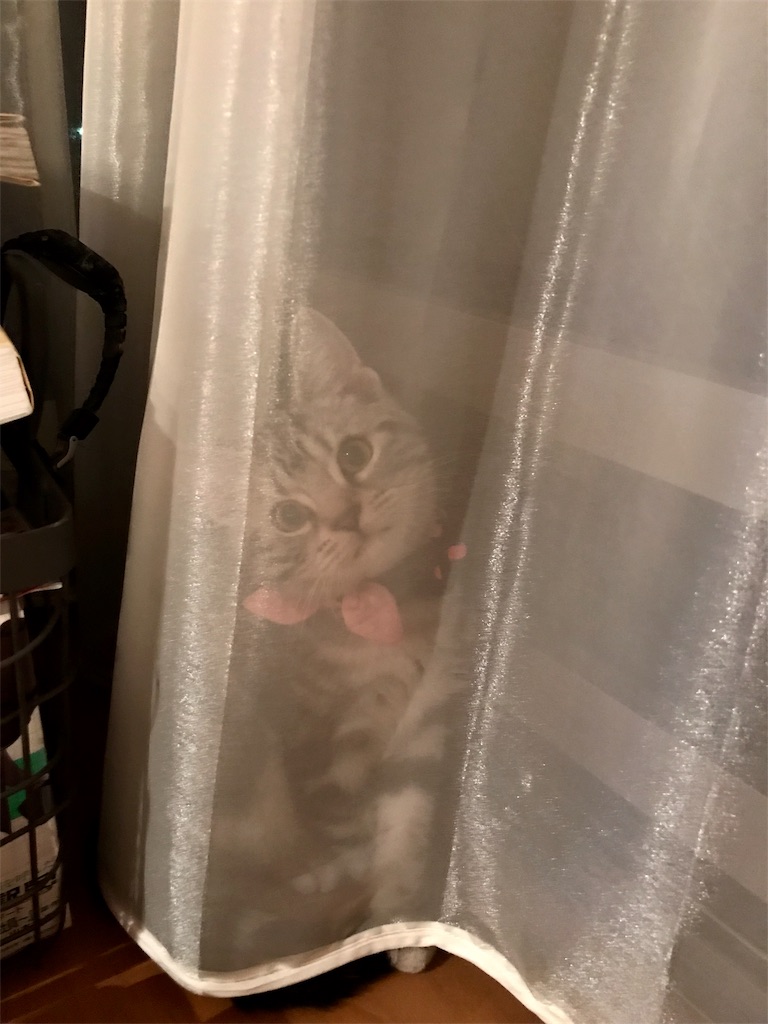 f:id:tsukky8832534:20171115000223j:image f:id:tsukky8832534:20171115000223j:image