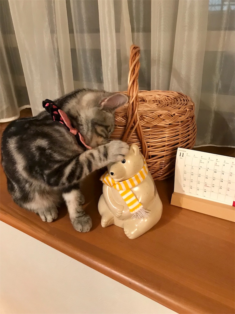 f:id:tsukky8832534:20171115000235j:image f:id:tsukky8832534:20171115000235j:image