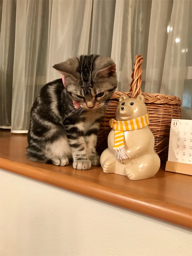 f:id:tsukky8832534:20171115000253j:image f:id:tsukky8832534:20171115000253j:image