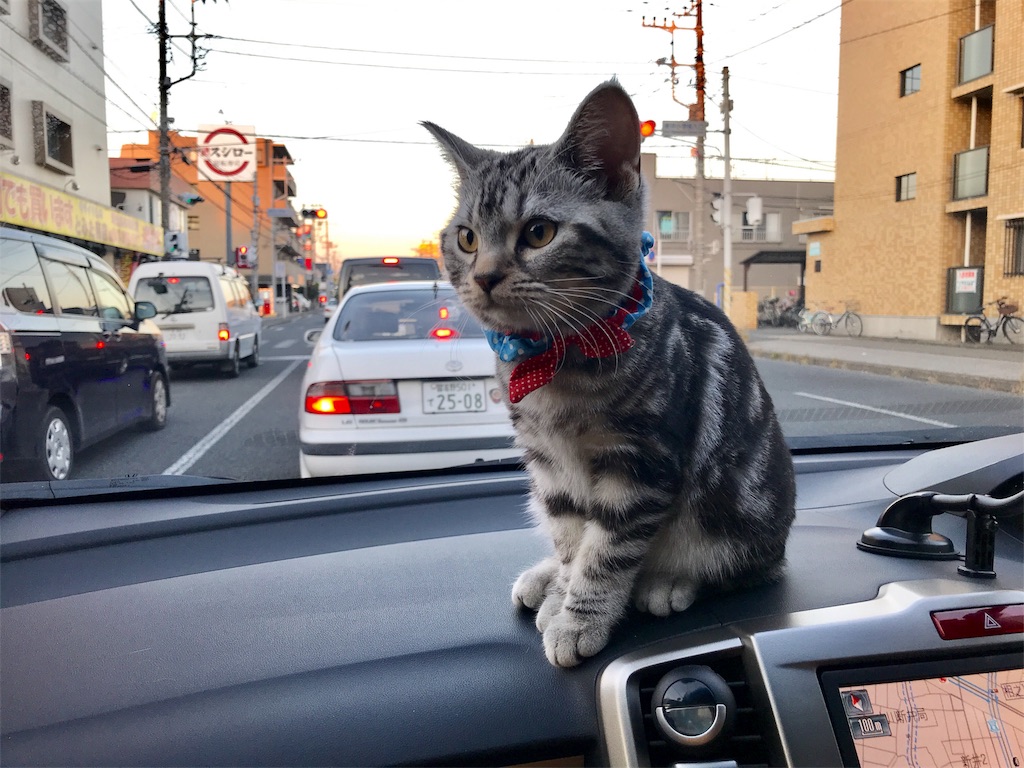 f:id:tsukky8832534:20171203234943j:image f:id:tsukky8832534:20171203234943j:image