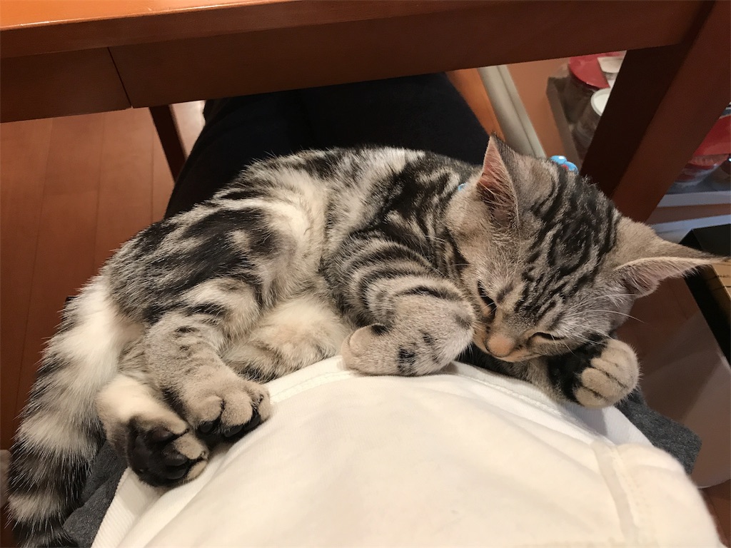 f:id:tsukky8832534:20171203235002j:image f:id:tsukky8832534:20171203235002j:image