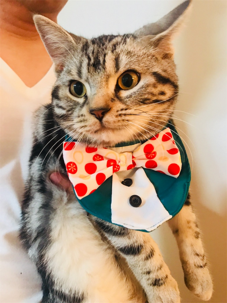 f:id:tsukky8832534:20171220003203j:image