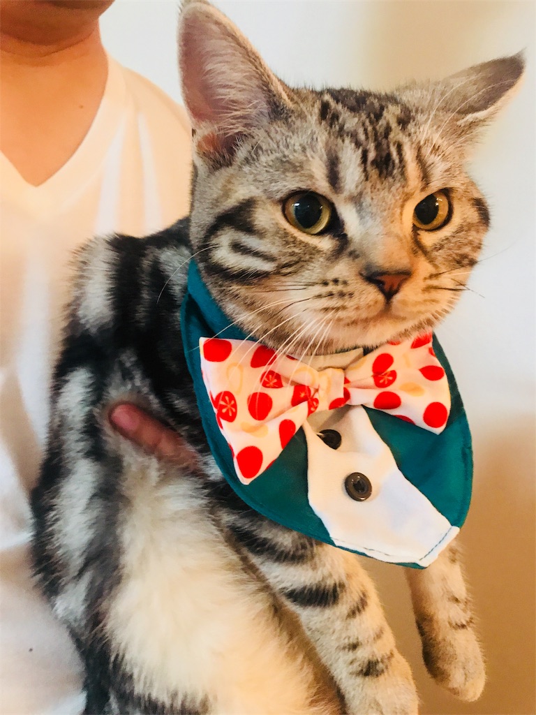 f:id:tsukky8832534:20171220003215j:image