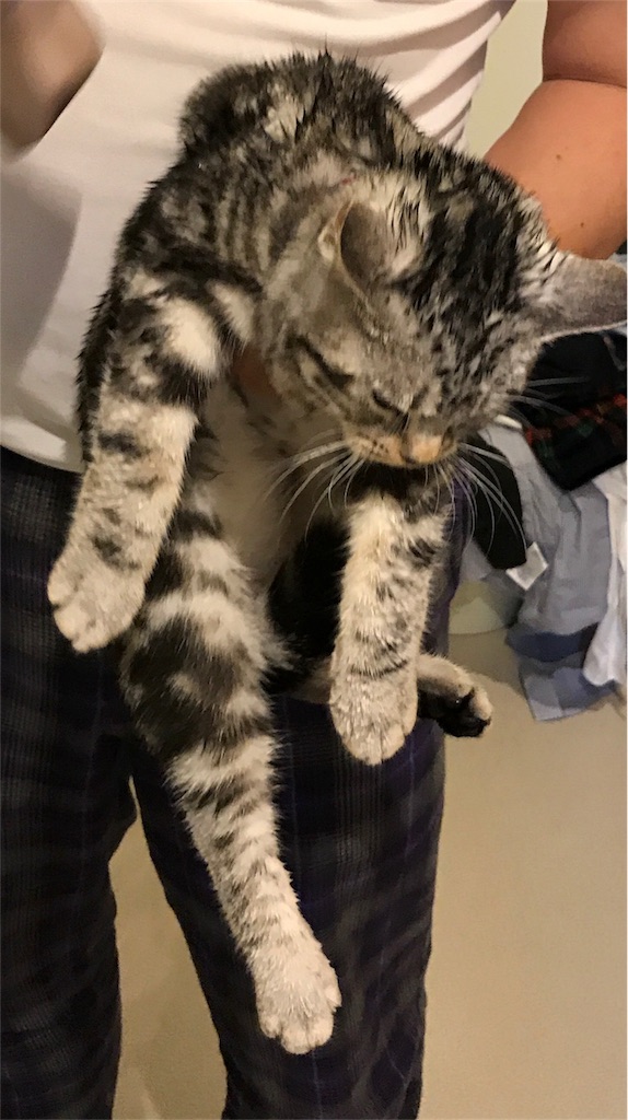 f:id:tsukky8832534:20171222235721j:image