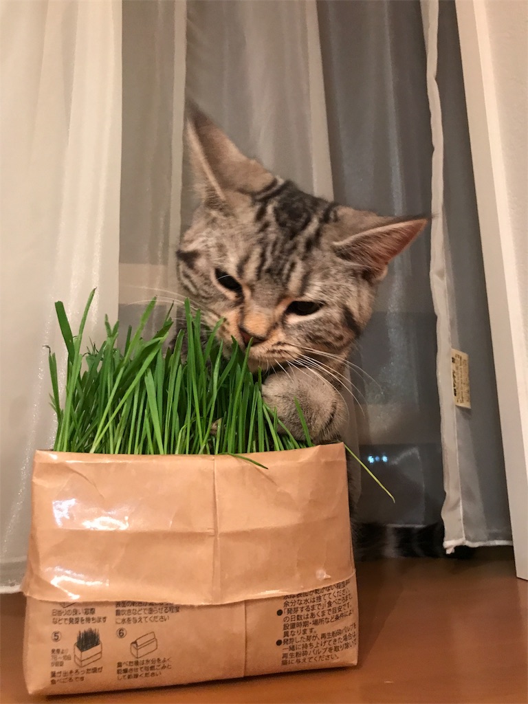 f:id:tsukky8832534:20180104234527j:image