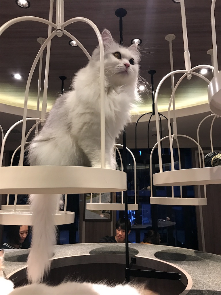 f:id:tsukky8832534:20180107003738j:image