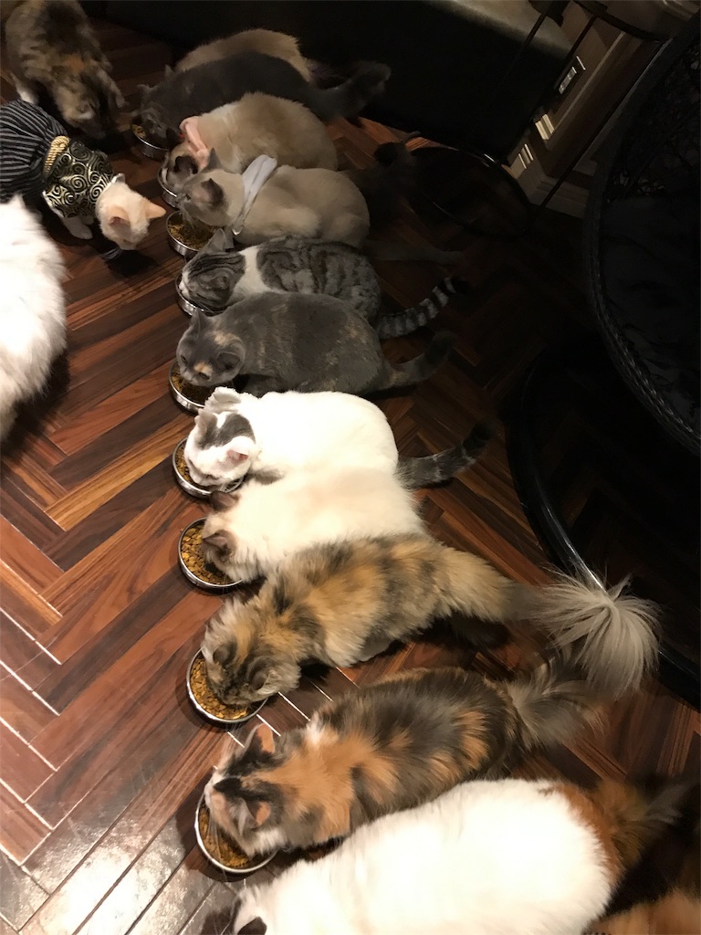 f:id:tsukky8832534:20180107003919j:image