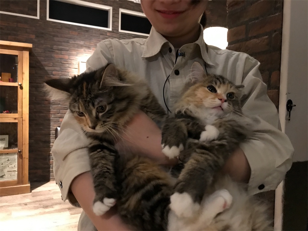 f:id:tsukky8832534:20180107004004j:image