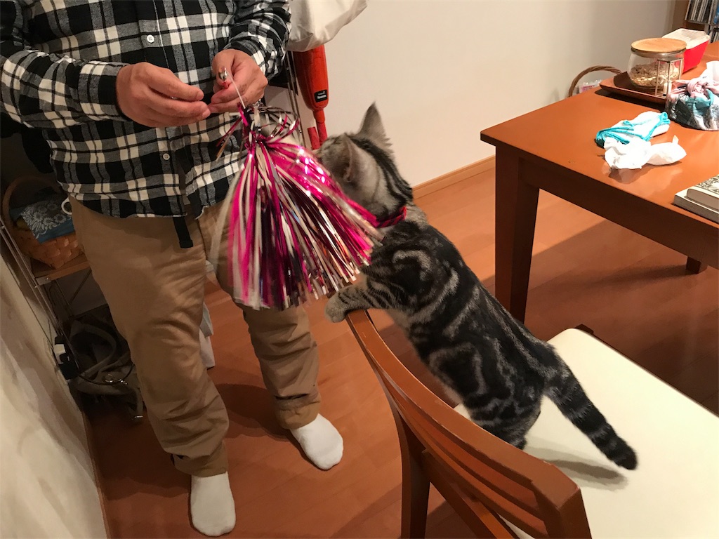 f:id:tsukky8832534:20180108231947j:image