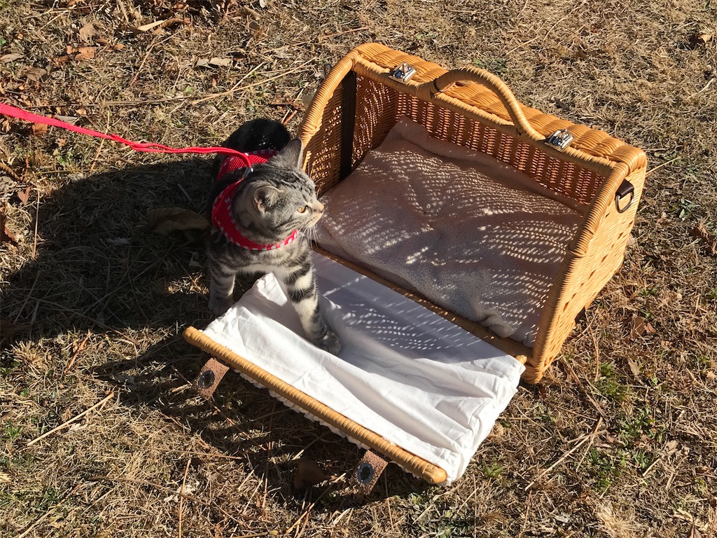 f:id:tsukky8832534:20180110230340j:image f:id:tsukky8832534:20180110230340j:image