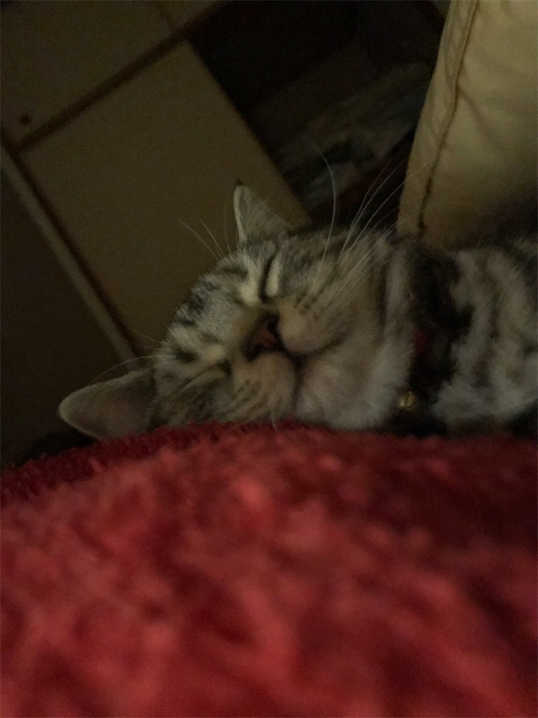 f:id:tsukky8832534:20180110231654j:image f:id:tsukky8832534:20180110231654j:image