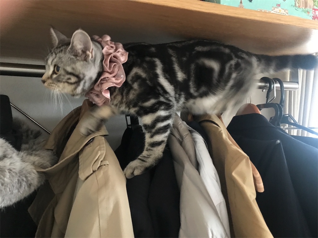 f:id:tsukky8832534:20180120234414j:image