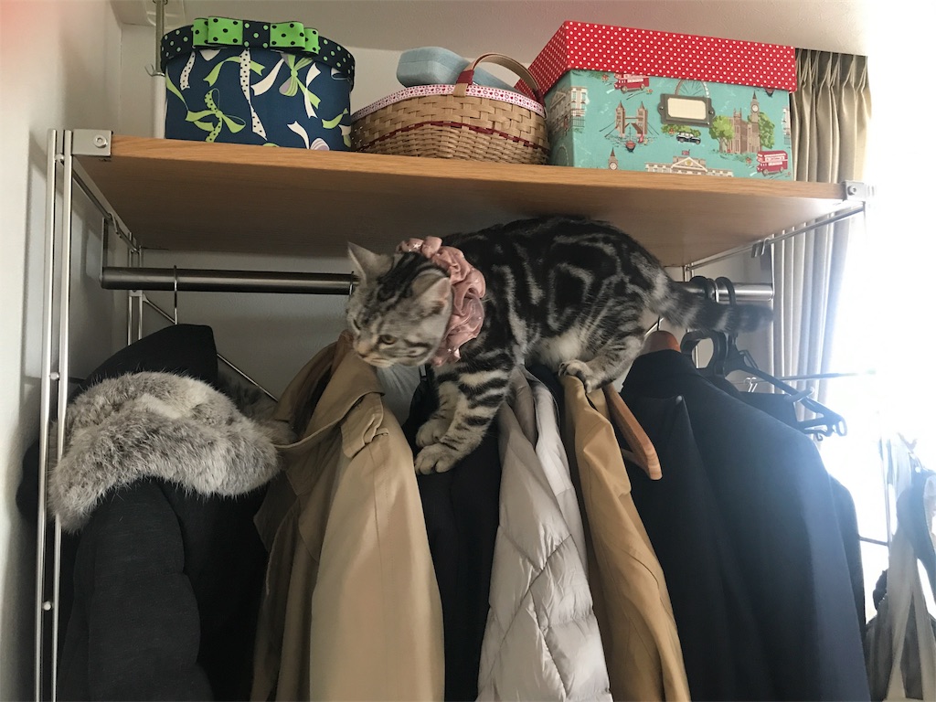 f:id:tsukky8832534:20180120234437j:image