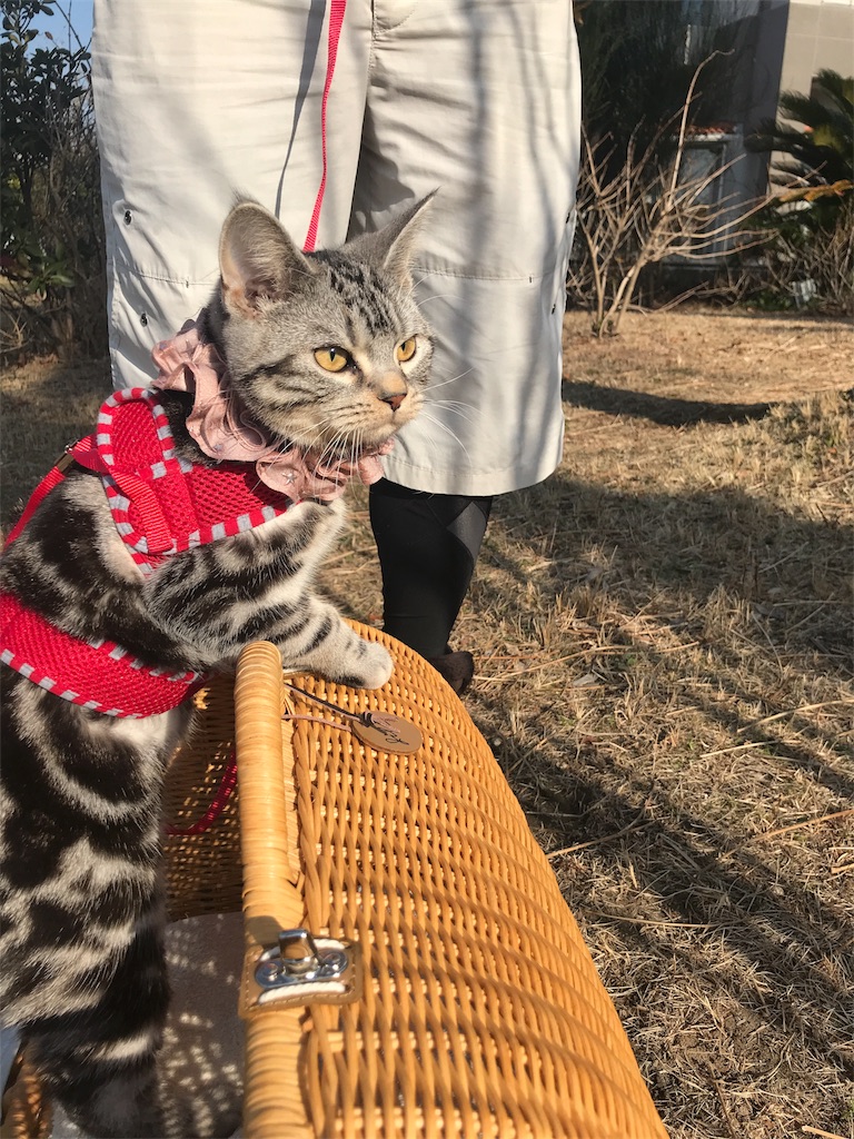 f:id:tsukky8832534:20180121235627j:image