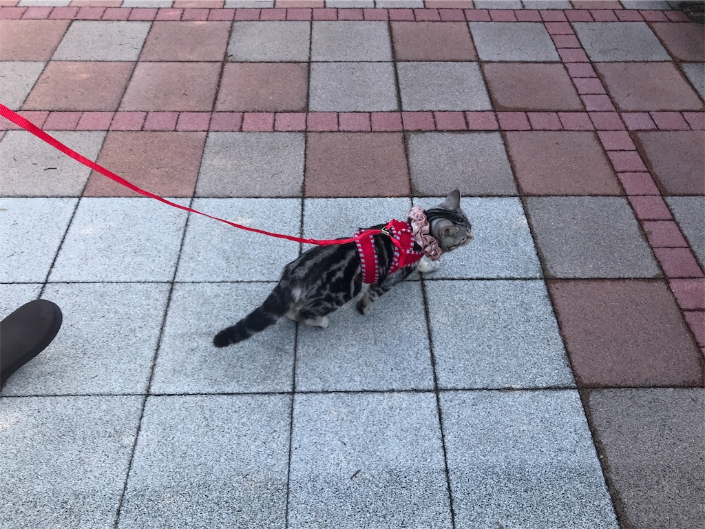 f:id:tsukky8832534:20180122001314j:image