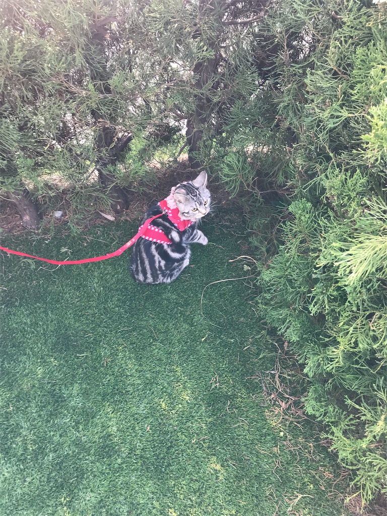 f:id:tsukky8832534:20180122001330j:image