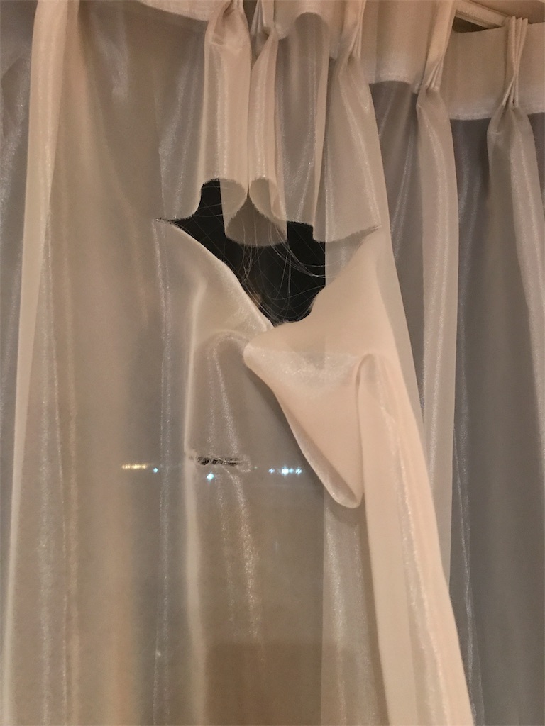 f:id:tsukky8832534:20180125202407j:image