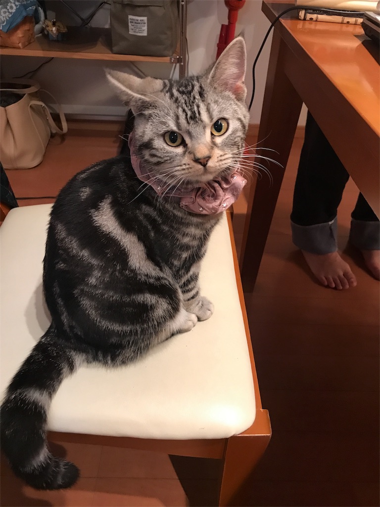 f:id:tsukky8832534:20180125202540j:image