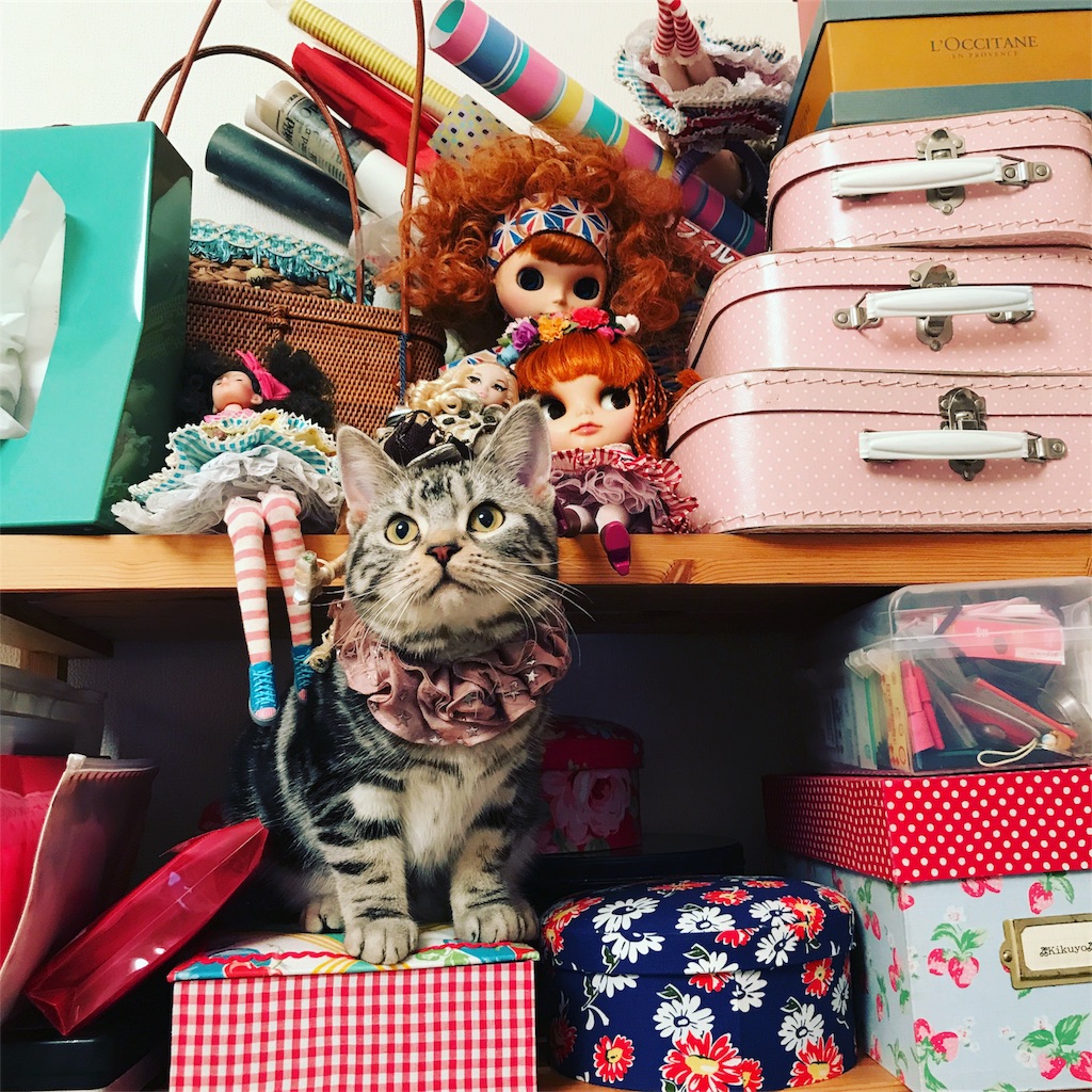 f:id:tsukky8832534:20180131003355j:image