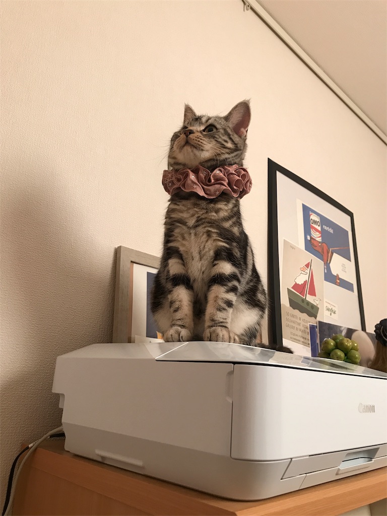 f:id:tsukky8832534:20180131003416j:image