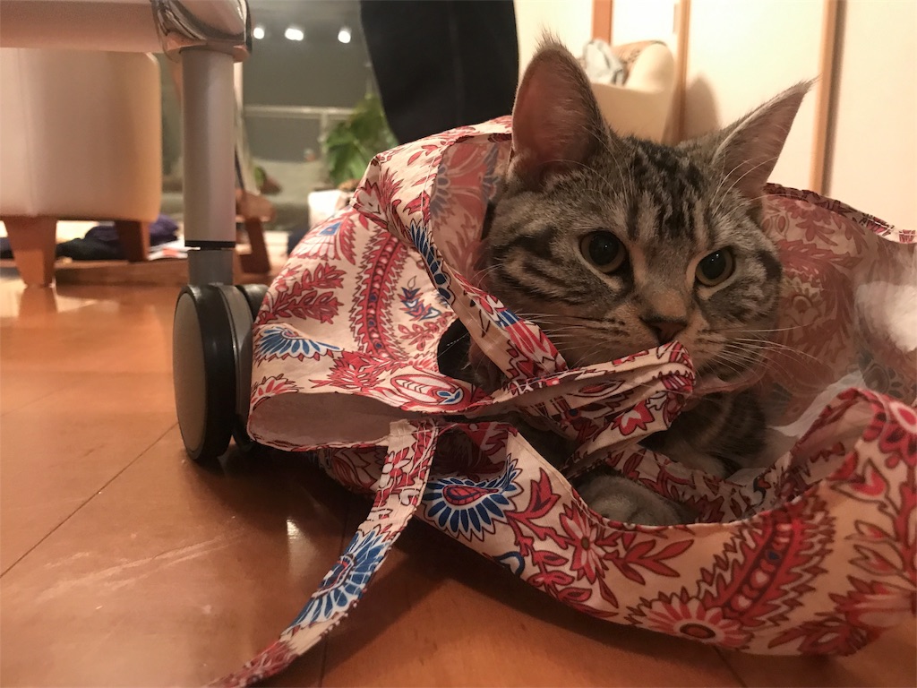 f:id:tsukky8832534:20180210004155j:image