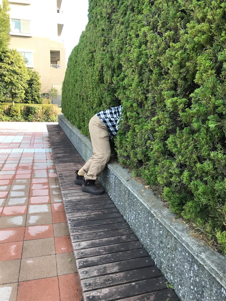 f:id:tsukky8832534:20180311020040j:image