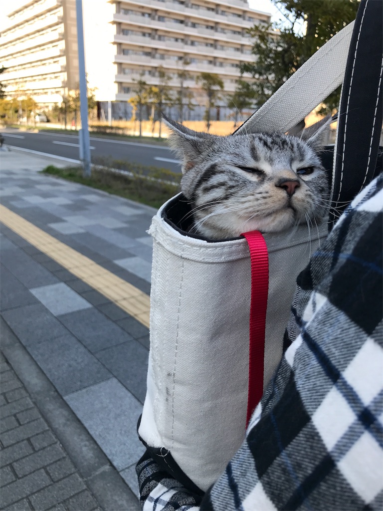 f:id:tsukky8832534:20180312000038j:image f:id:tsukky8832534:20180312000038j:image