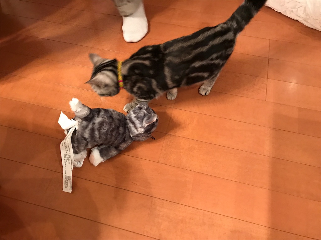 f:id:tsukky8832534:20180321233635j:image f:id:tsukky8832534:20180321233635j:image