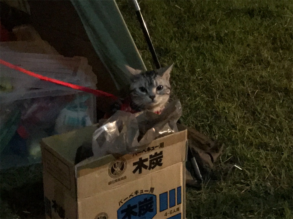 f:id:tsukky8832534:20180715200535j:image f:id:tsukky8832534:20180715200535j:image