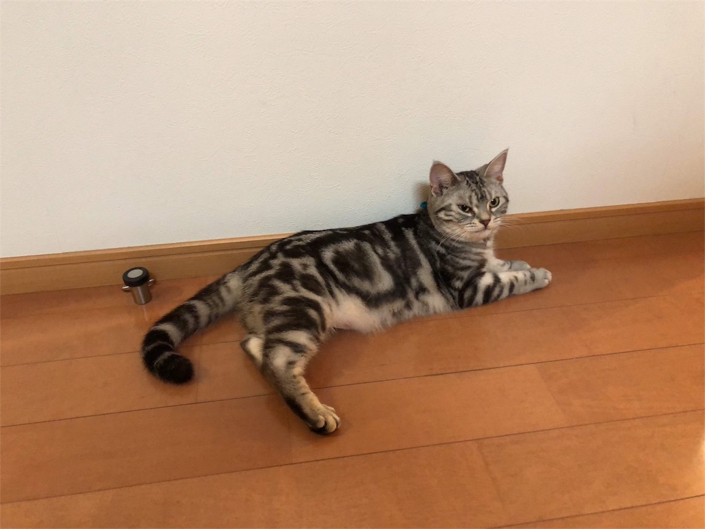 f:id:tsukky8832534:20180716220713j:image f:id:tsukky8832534:20180716220713j:image