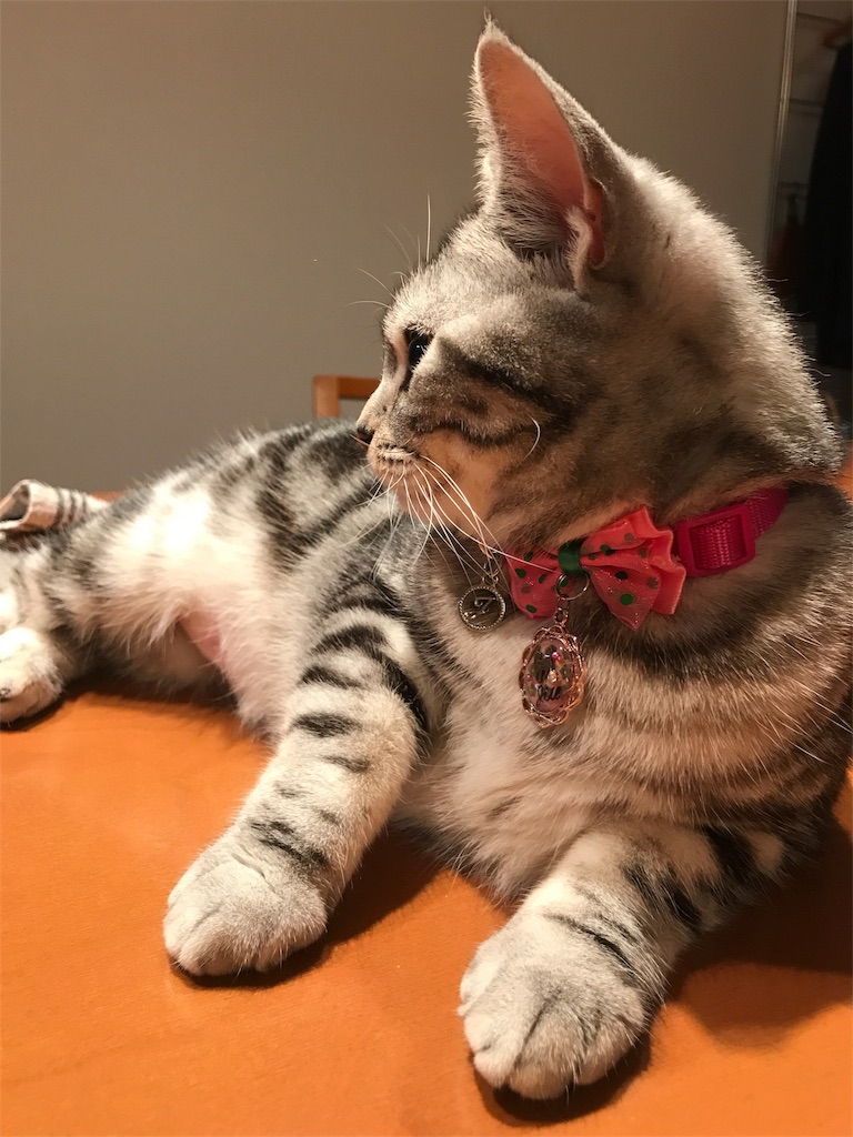 f:id:tsukky8832534:20180719201821j:image