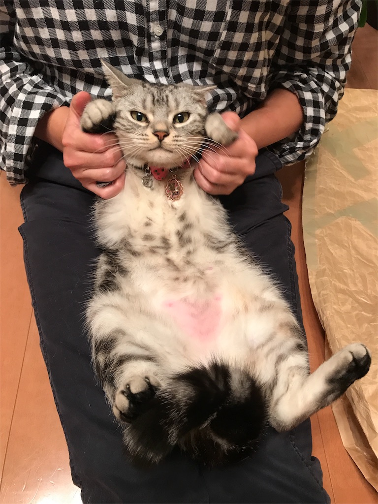 f:id:tsukky8832534:20180721003647j:image