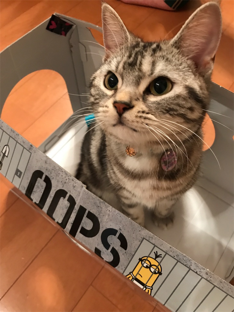 f:id:tsukky8832534:20180721004930j:image