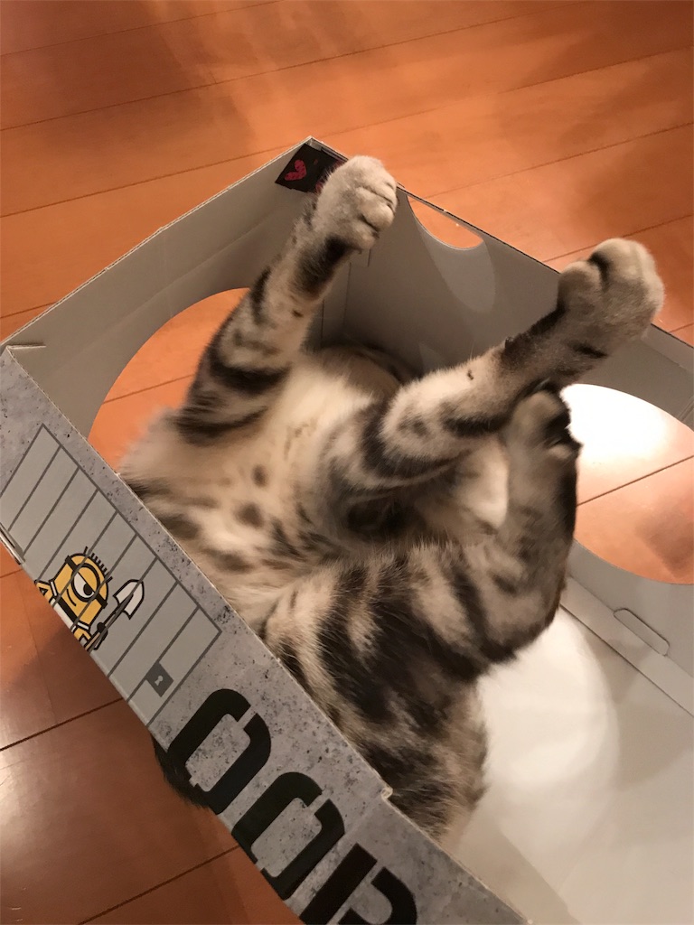 f:id:tsukky8832534:20180721004933j:image