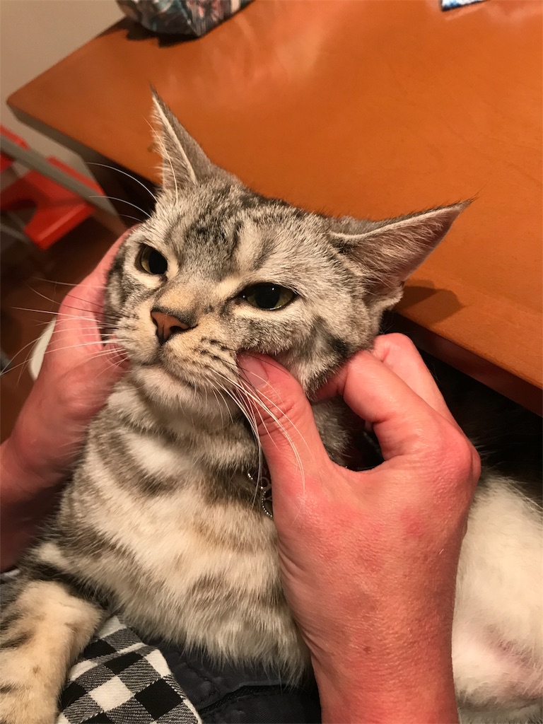 f:id:tsukky8832534:20180721015814j:image