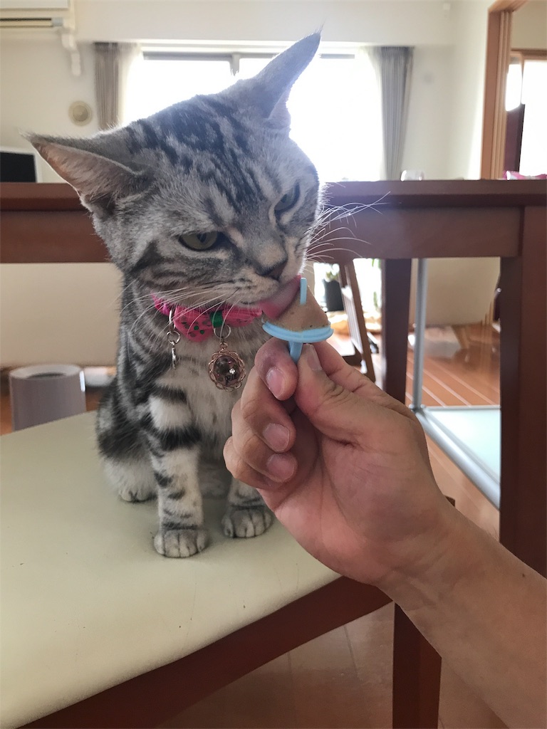 f:id:tsukky8832534:20180722225640j:image