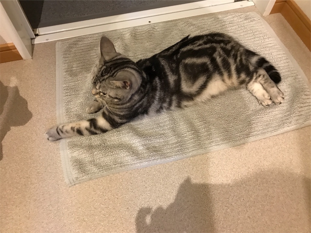 f:id:tsukky8832534:20180725234822j:image f:id:tsukky8832534:20180725234822j:image