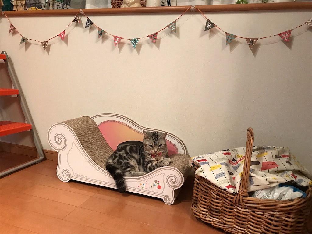 f:id:tsukky8832534:20180725234856j:image f:id:tsukky8832534:20180725234856j:image