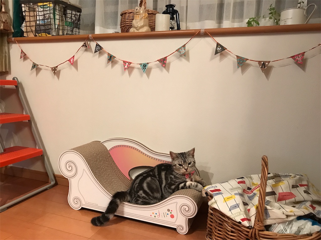 f:id:tsukky8832534:20180725234900j:image f:id:tsukky8832534:20180725234900j:image