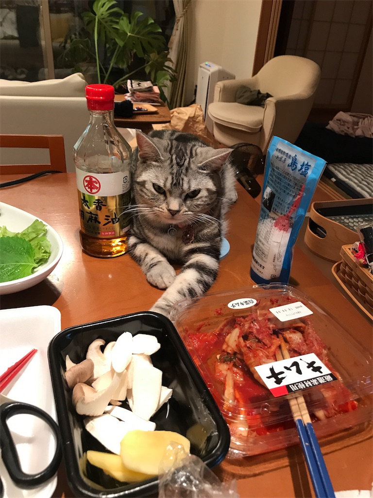 f:id:tsukky8832534:20180802003358j:image