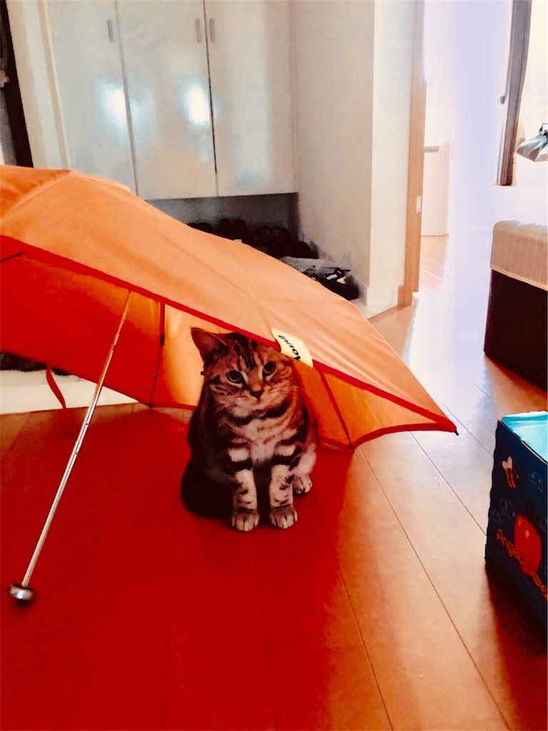 f:id:tsukky8832534:20180922004619j:image