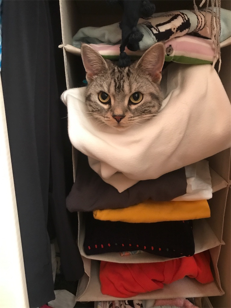 f:id:tsukky8832534:20180928002401j:image