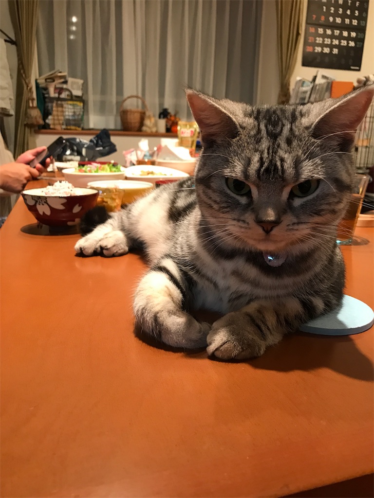 f:id:tsukky8832534:20181017231620j:image